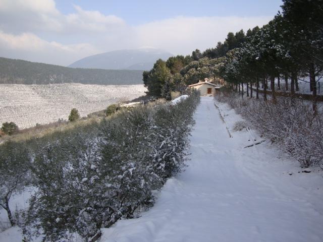 Agriturismo Istrice Innamorato Campello sul Clitunno Kültér fotó